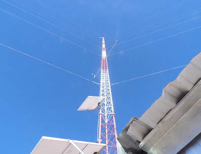 Proyecto PE Arauco, Argentina