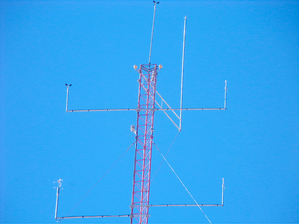 Proyecto PE Arauco en Argentina 8